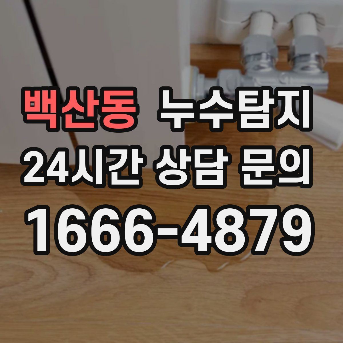 백산동 누수탐지 폭우 전 준비한 예방 체크