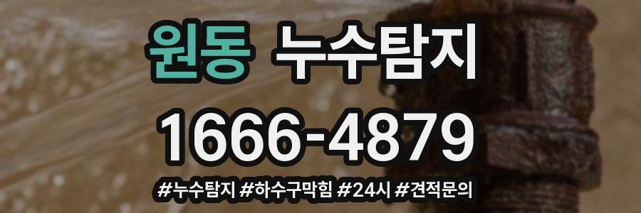 누수닥터 누수탐지
