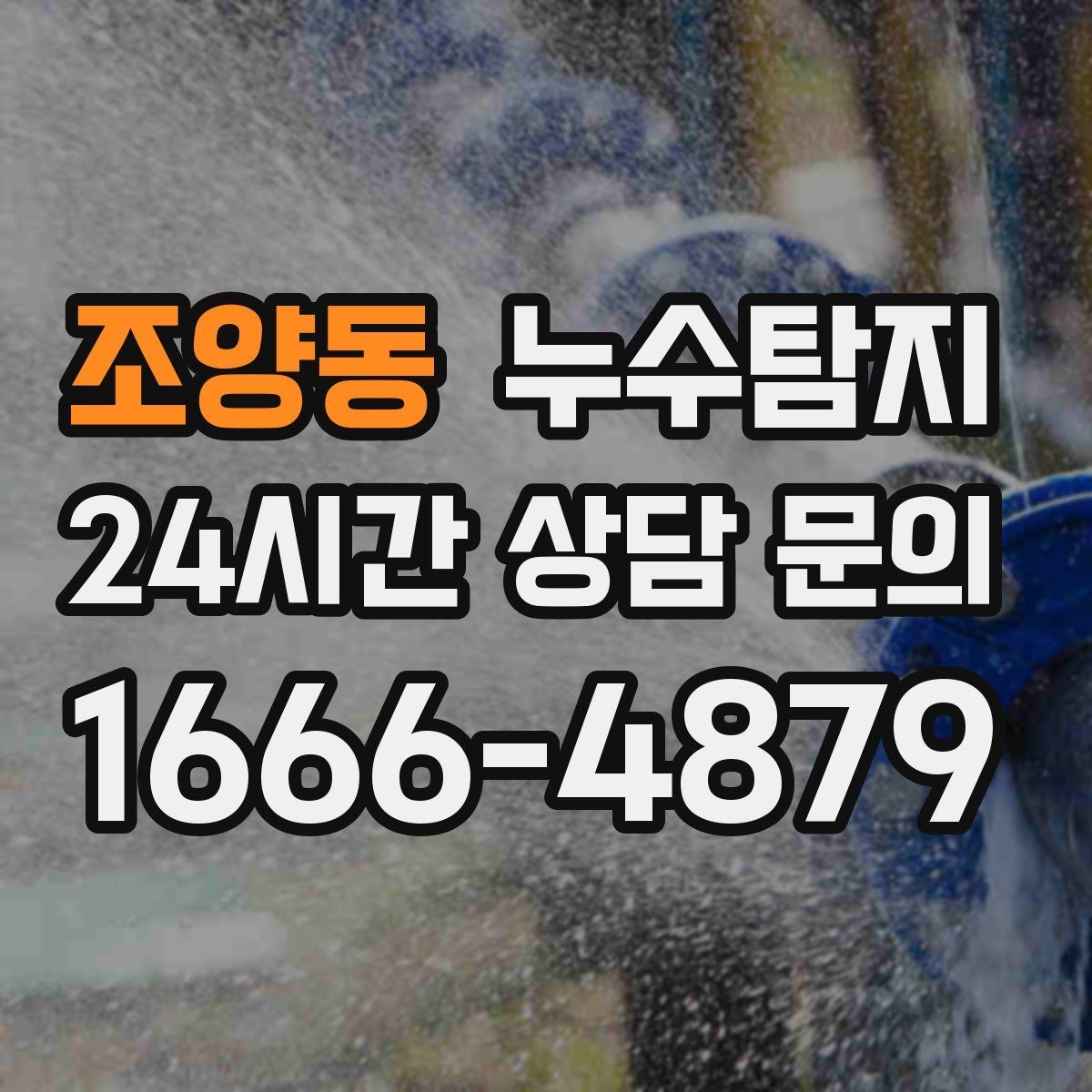 조양동 누수탐지 세탁실 배수 이상 확인 일지