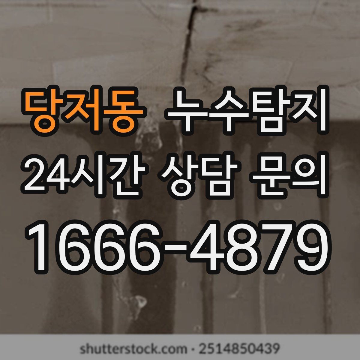당저동 누수탐지 배수구 역류와 악취 해결 노하우