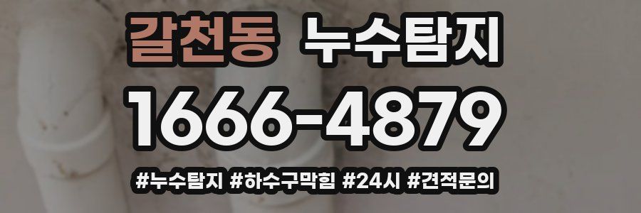 누수닥터 누수탐지