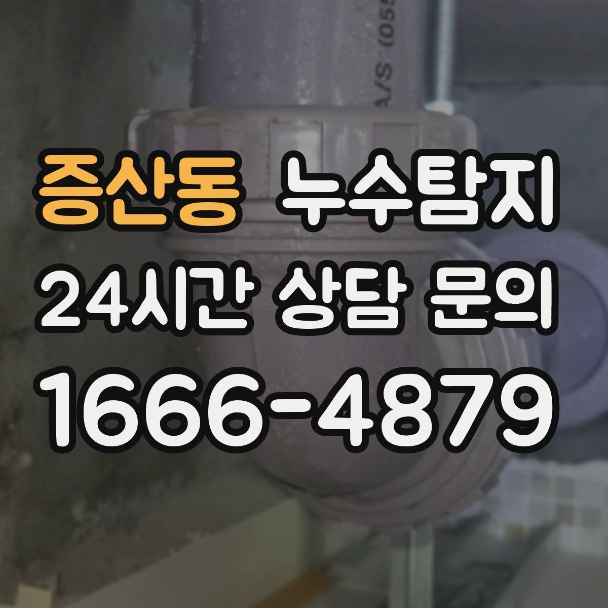 증산동 누수탐지 욕실 곰팡이 사라진 변화 이야기