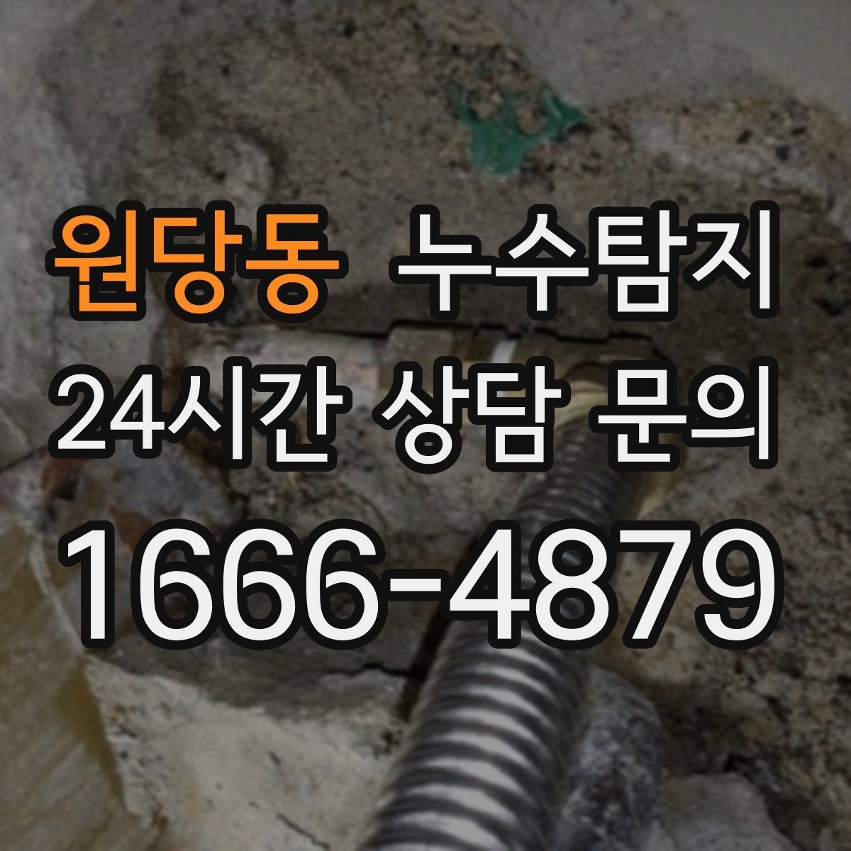 원당동 누수탐지 옥상 방수 점검과 보수 타이밍