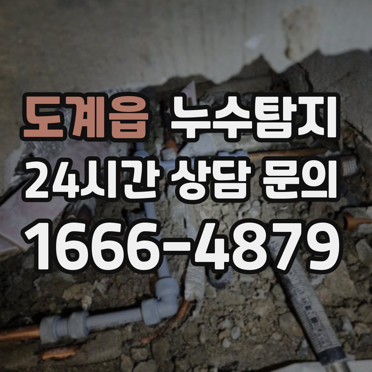 도계읍 누수탐지 욕실 곰팡이 원인과 해결 과정