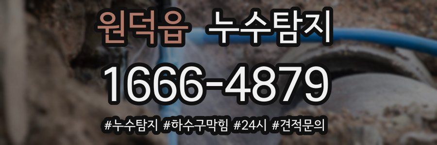 누수닥터 누수탐지