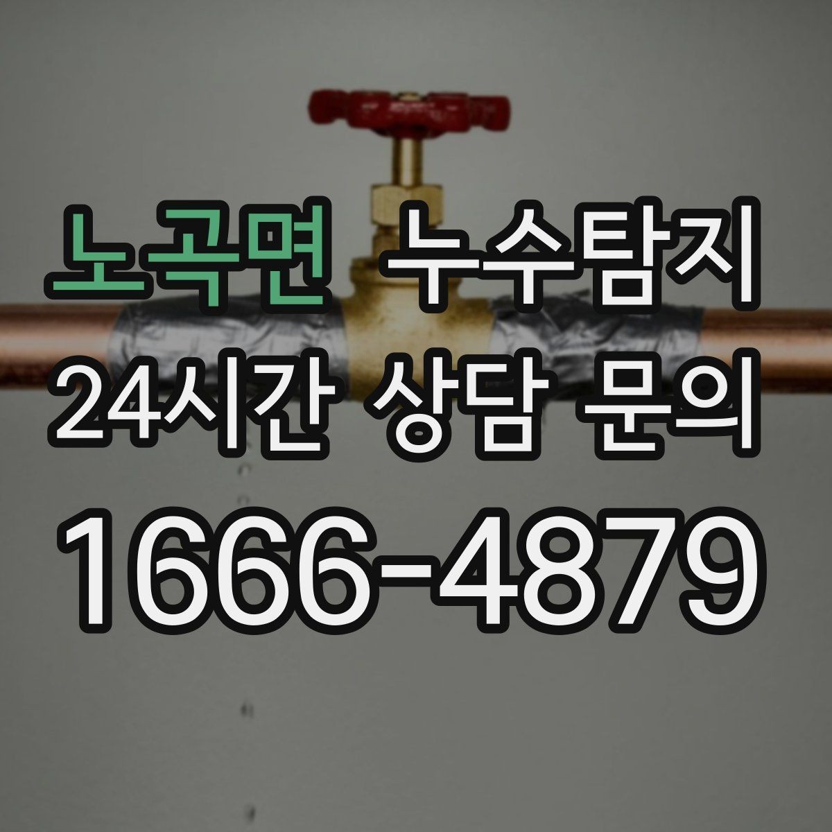 노곡면 누수탐지 실내 곰팡이와 악취 방지를 위한 방법
