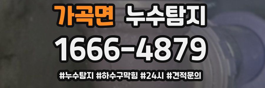 누수닥터 누수탐지