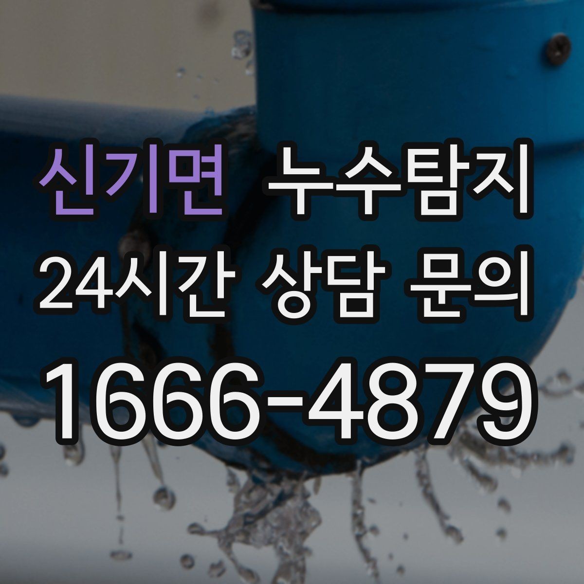 신기면 누수탐지 창고 곰팡이 제거와 재발 방지