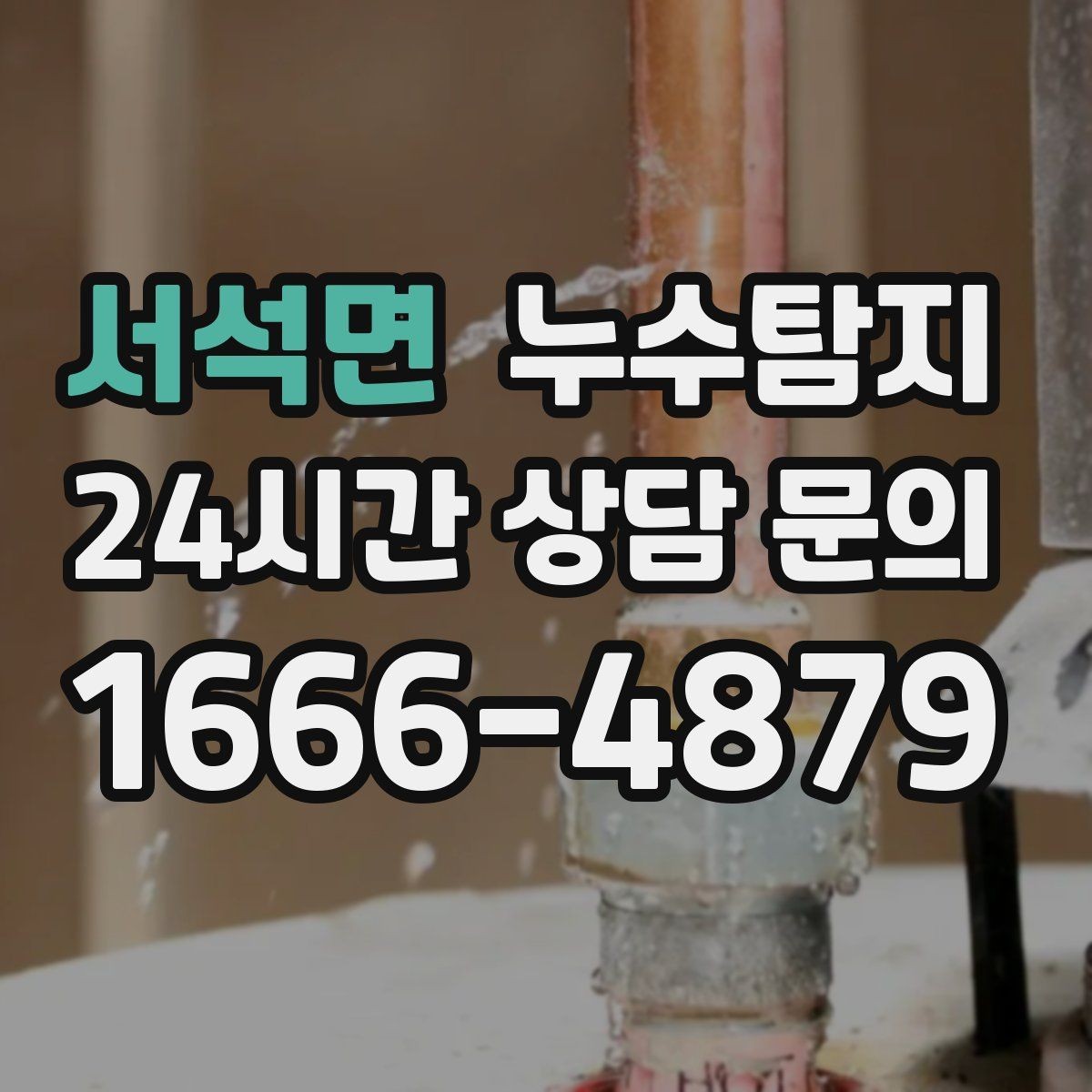 서석면 누수탐지 방수 하자 판정과 보수 선택기