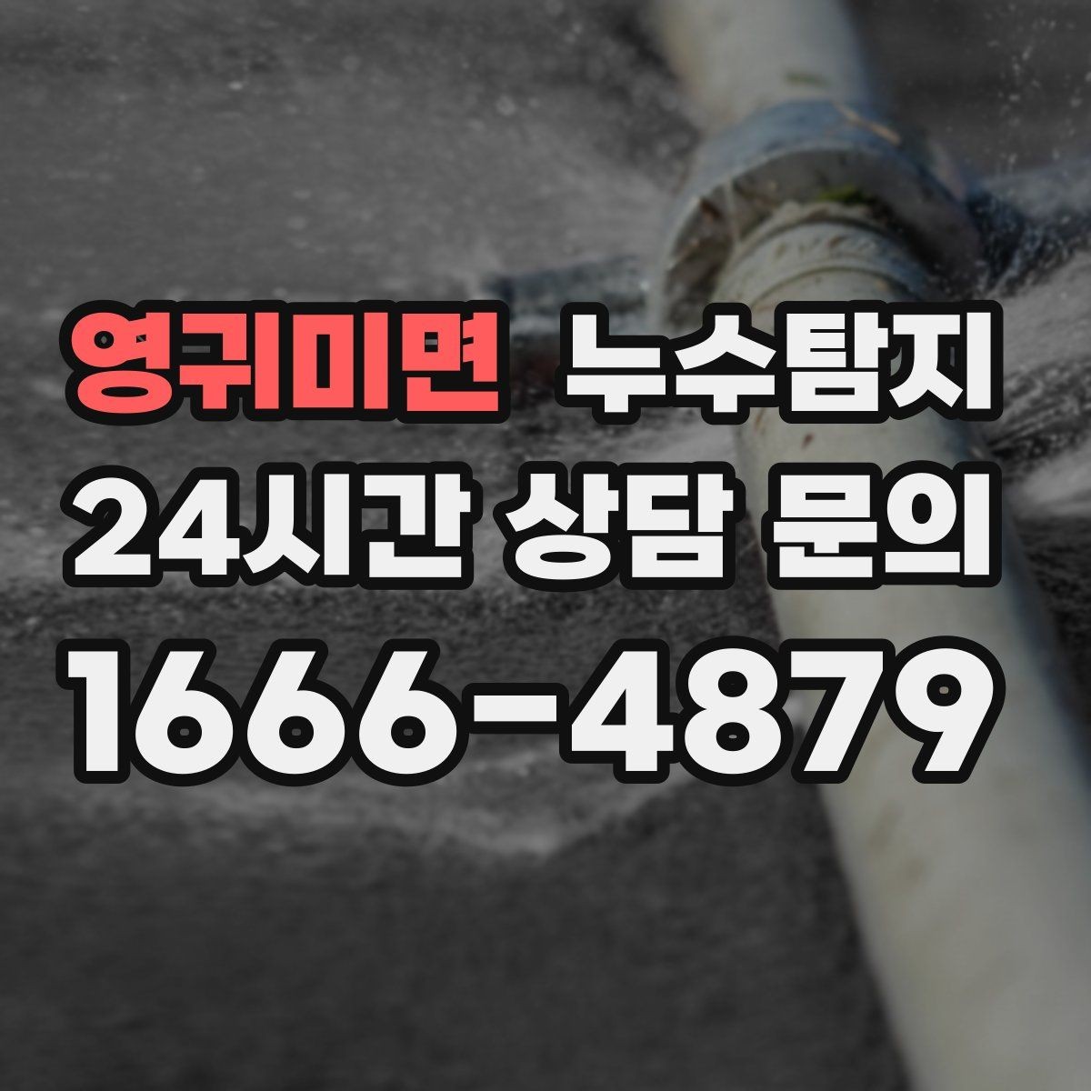 영귀미면 누수탐지 하부장 곰팡이 정리하고 재발 방지