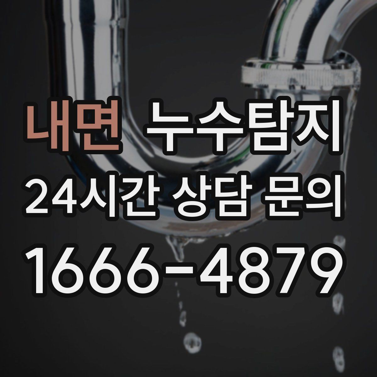 내면 누수탐지 아이와 반려동물을 위한 안전 점검