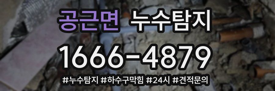 누수닥터 누수탐지