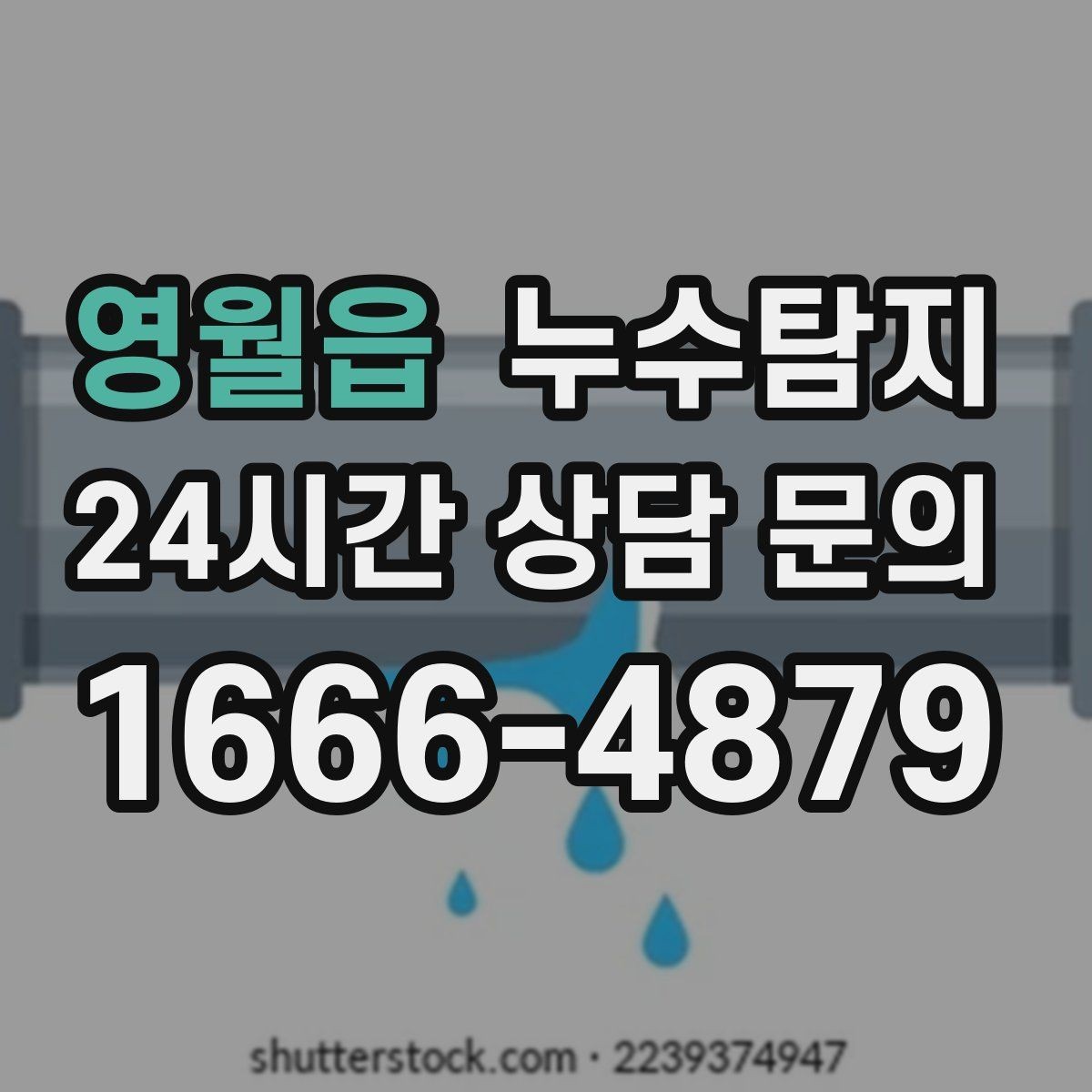 영월읍 누수탐지 신속 정확한 서비스를 만나보세요