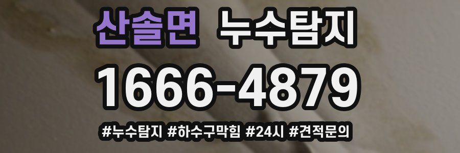 누수닥터 누수탐지