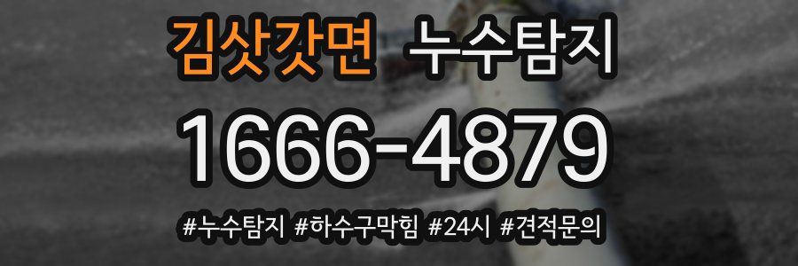 누수닥터 누수탐지