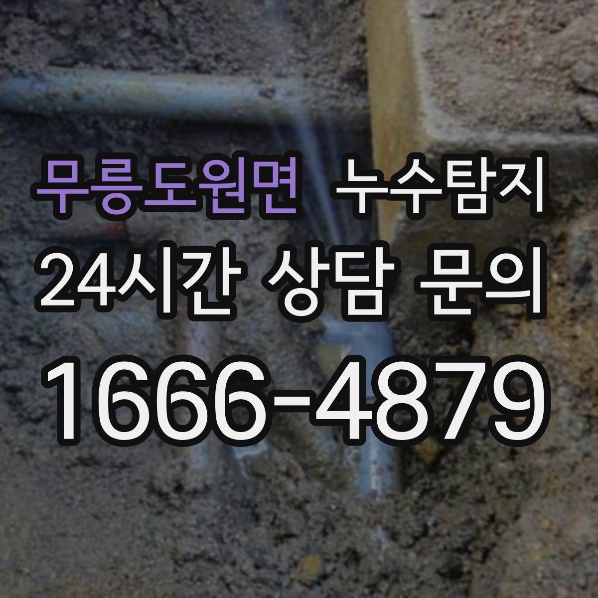 무릉도원면 누수탐지 현관 타일 습기 해결 과정