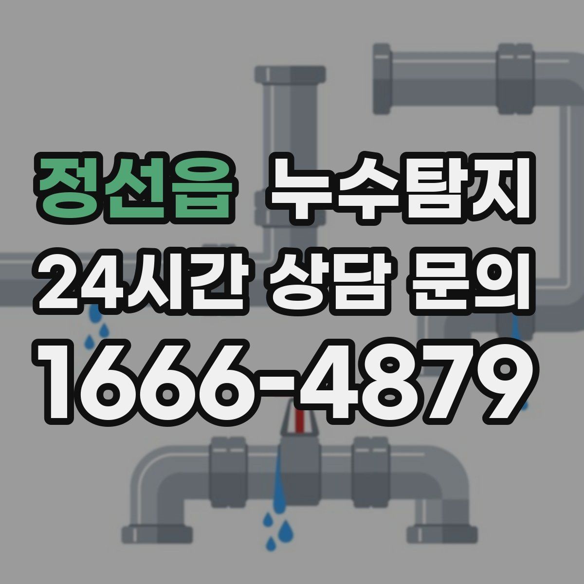 정선읍 누수탐지 전문가와 함께한 현장 진단 이야기