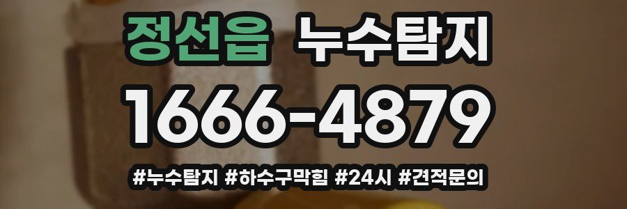 누수닥터 누수탐지