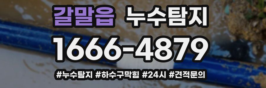 누수닥터 누수탐지