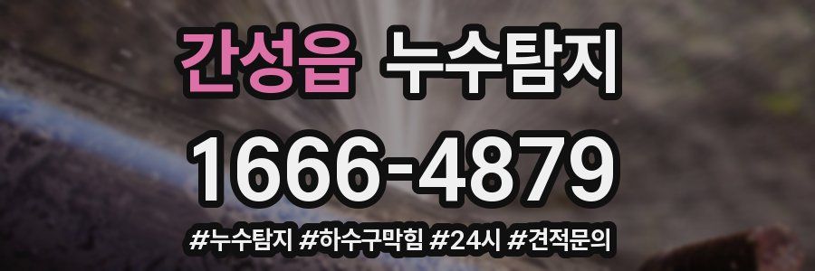 누수닥터 누수탐지