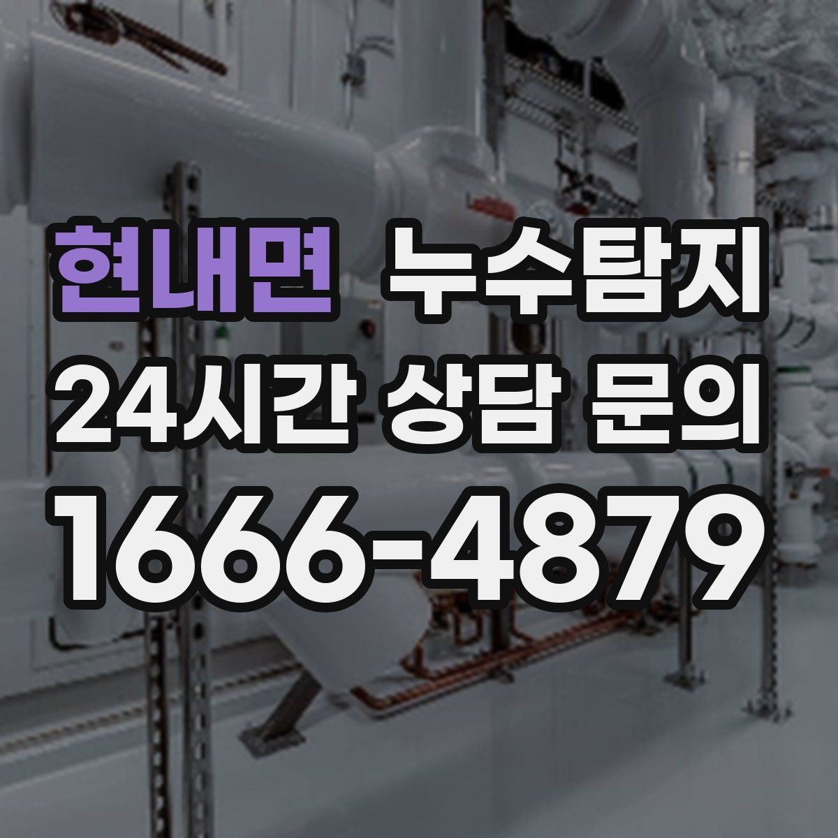 현내면 누수탐지 천장 얼룩 원인 추적