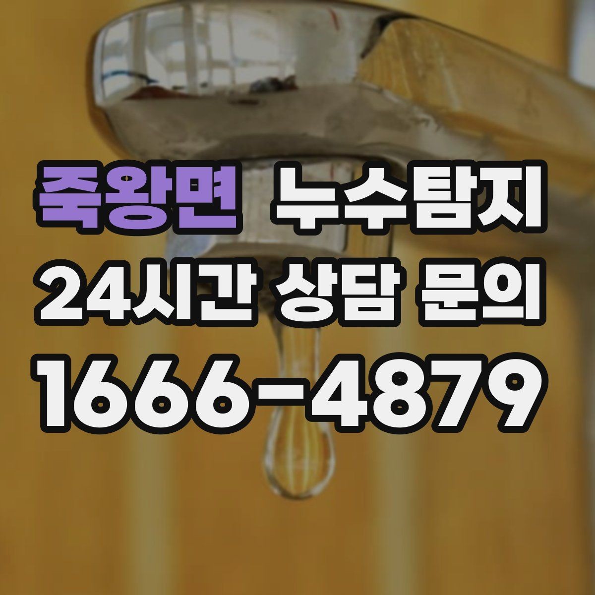 죽왕면 누수탐지 세탁실 배수 이상 확인 일지