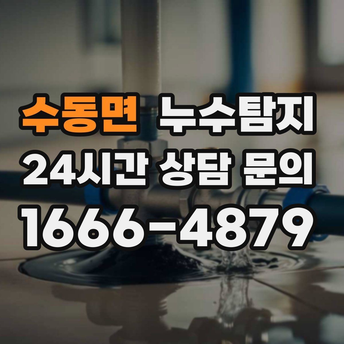 수동면 누수탐지 천장에서 떨어진 물방울의 기록