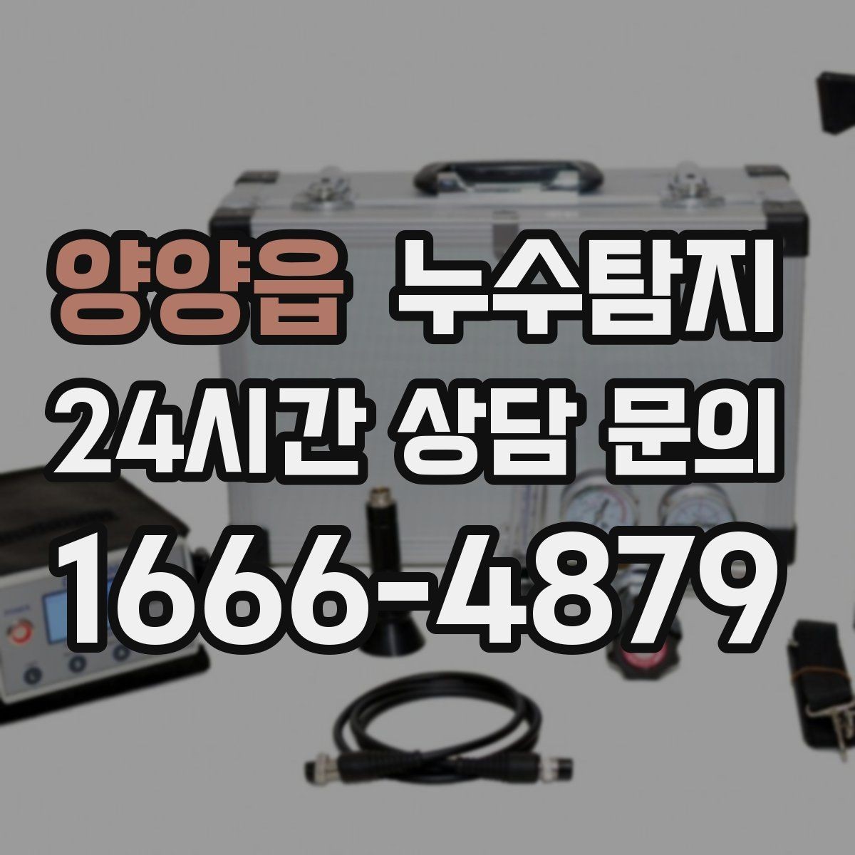 양양읍 누수탐지 곰팡이 악취 원인 진단