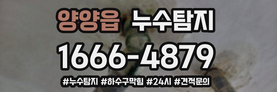 누수닥터 누수탐지