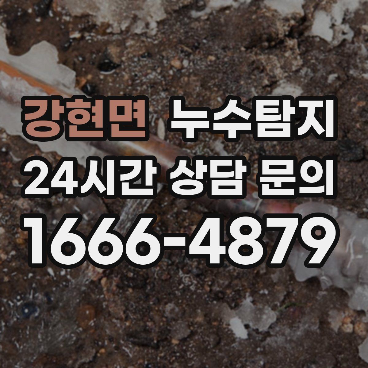강현면 누수탐지 아이와 반려동물을 위한 안전 점검