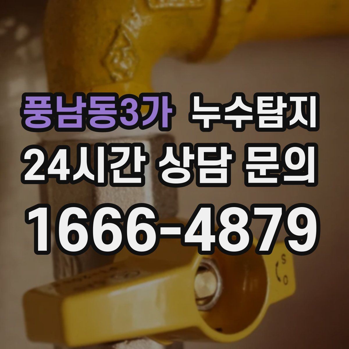 풍남동3가 누수탐지 방수 결함 누수 진단