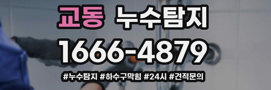 누수닥터 누수탐지