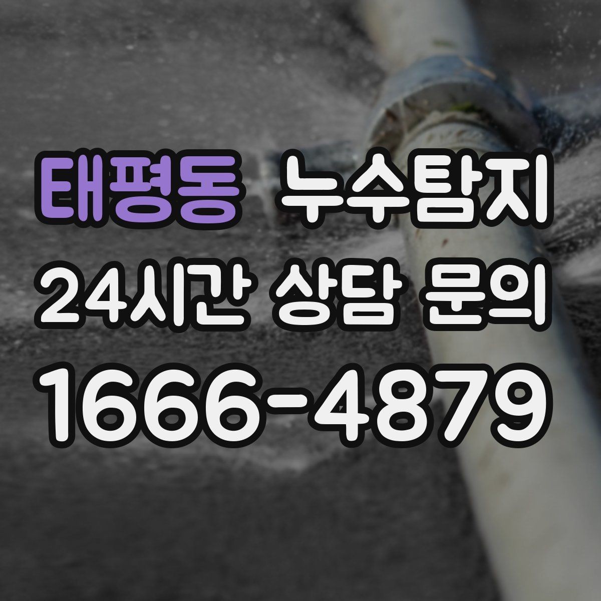 태평동 누수탐지 집 안 공기질이 달라진 이유