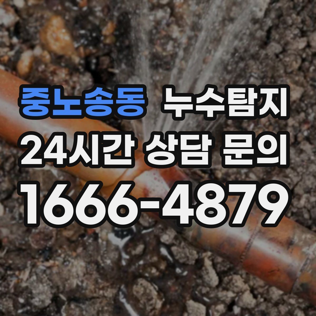 중노송동 누수탐지 타일 틈새 미세 누수 진단