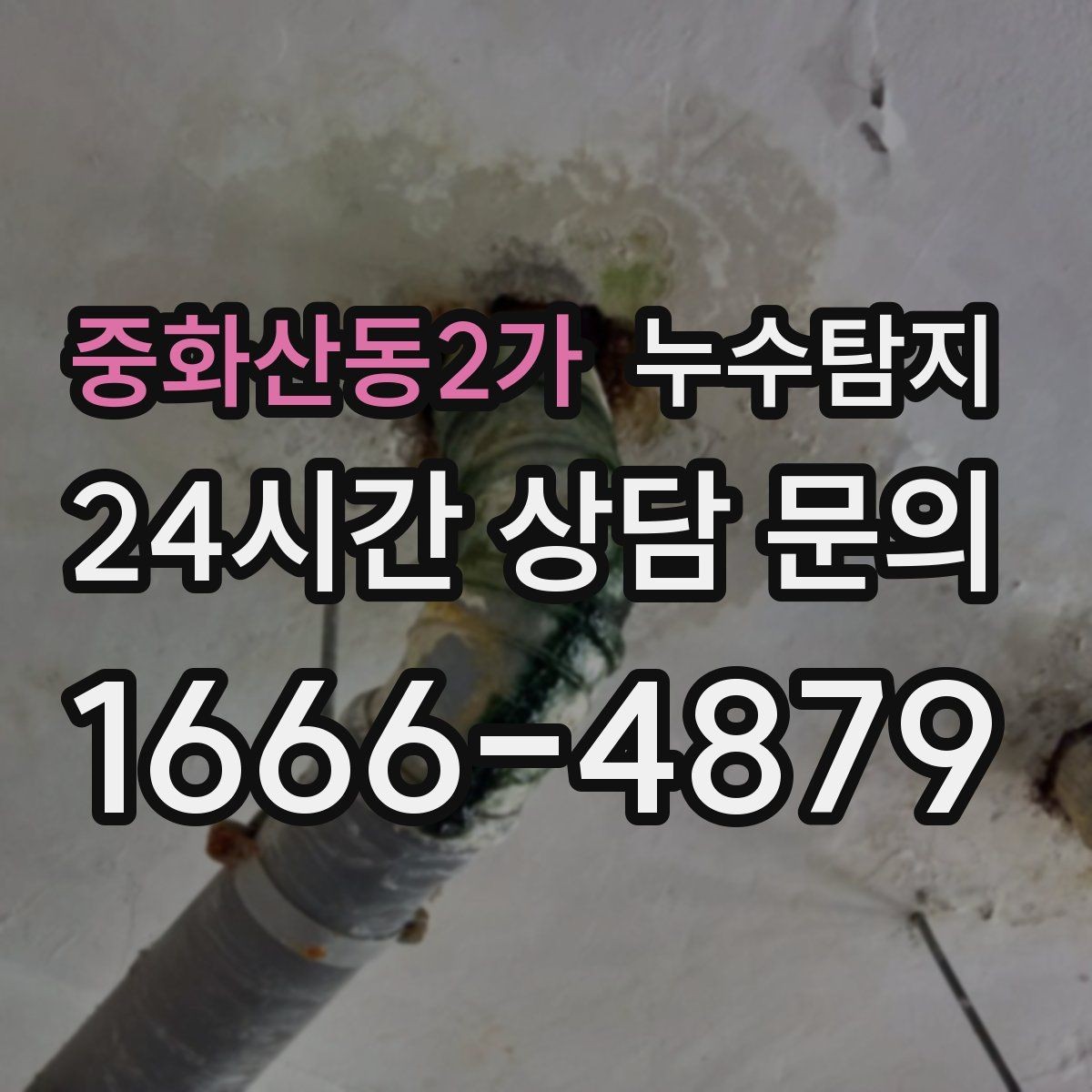 중화산동2가 누수탐지 공용 복도 천장 점검 사례