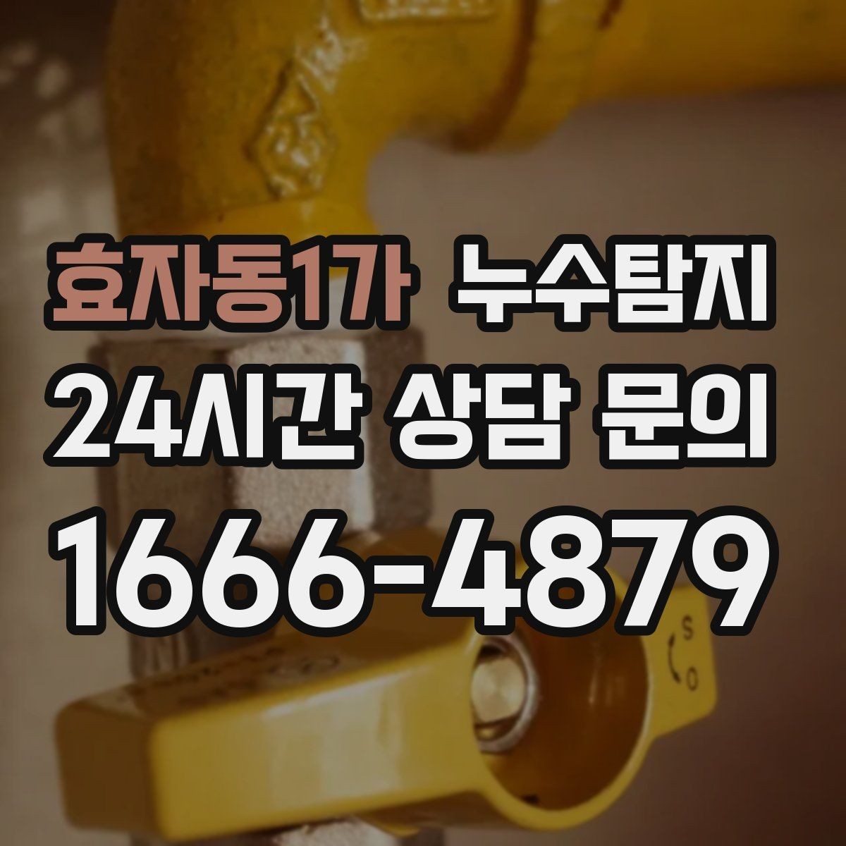 효자동1가 누수탐지 세탁기 배수관 누수 해결