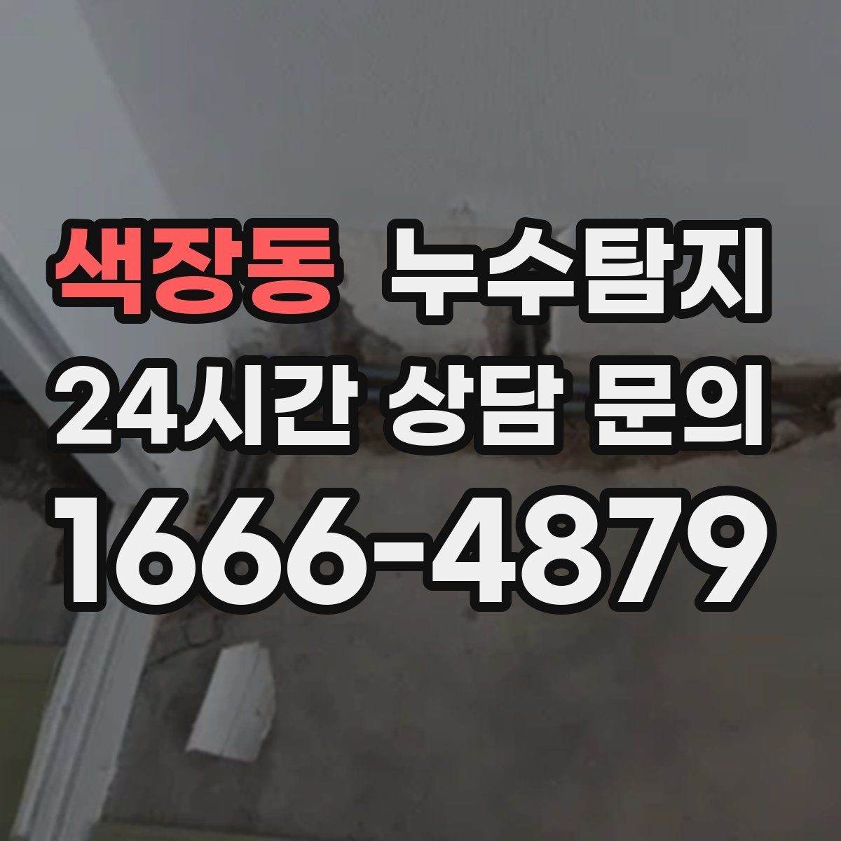 색장동 누수탐지 가구 뒤 곰팡이 원인 파헤치기