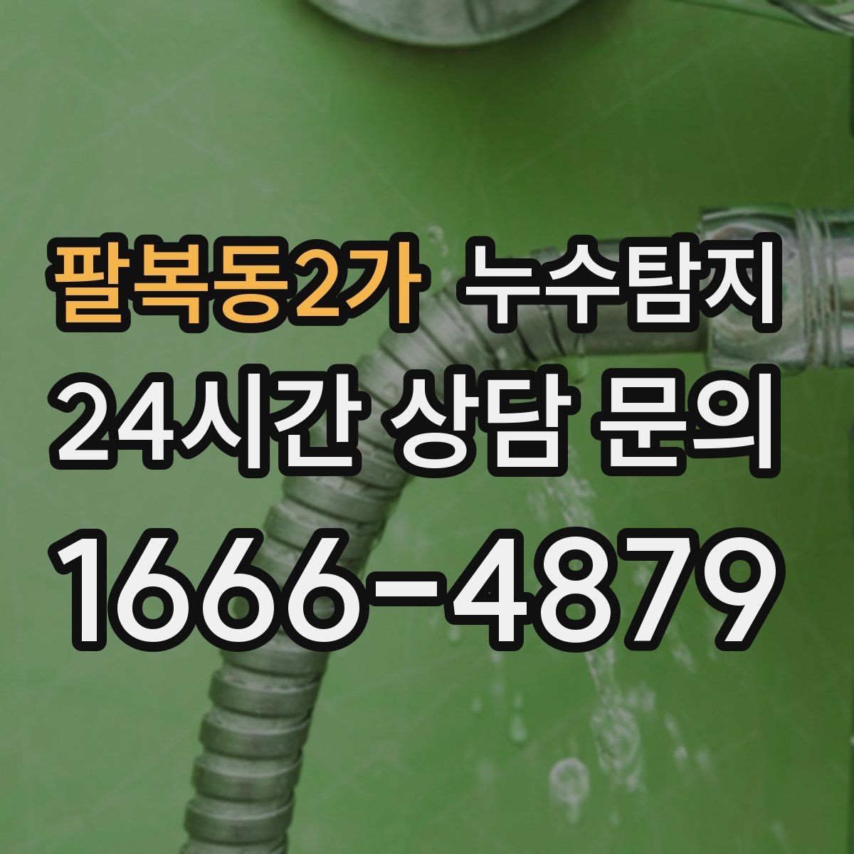 팔복동2가 누수탐지 아이와 반려동물을 위한 안전 점검
