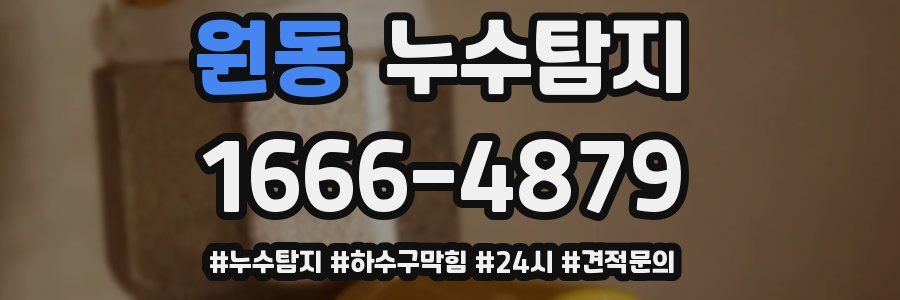 누수닥터 누수탐지