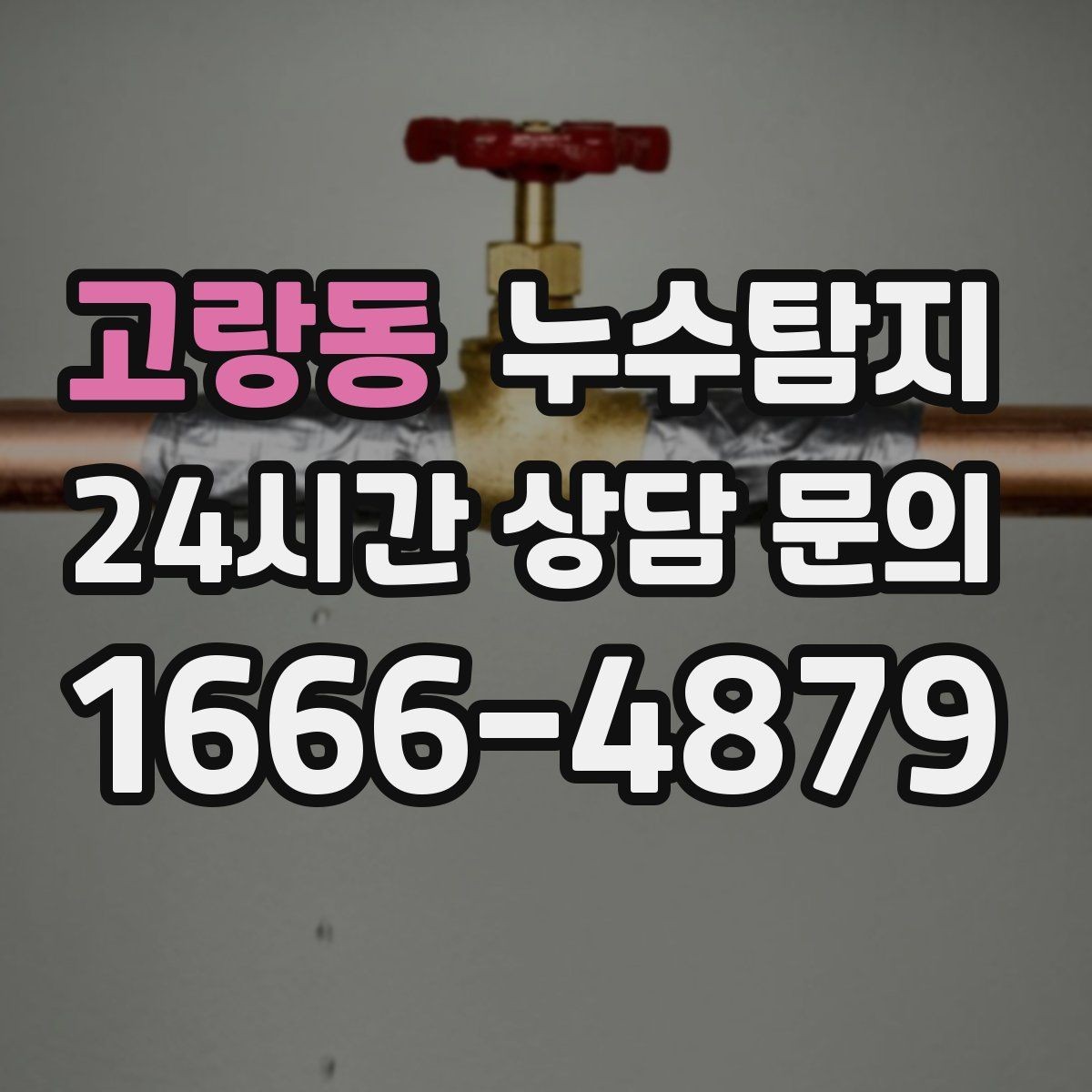 고랑동 누수탐지 옥상 방수 보수 적기