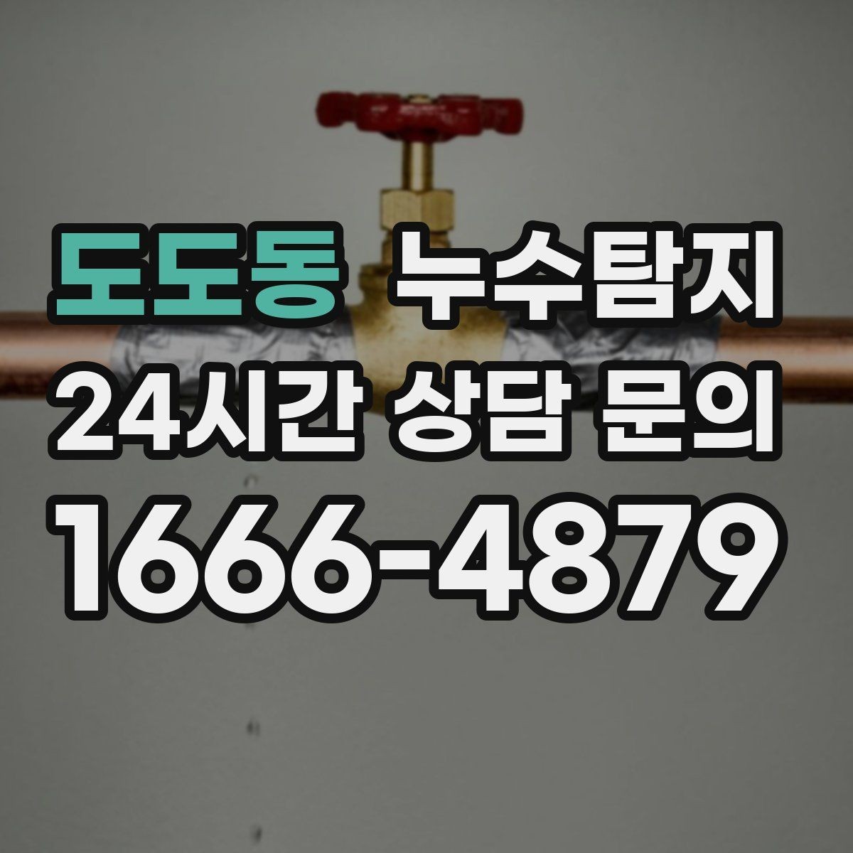 도도동 누수탐지 줄눈 보수로 마무리한 후기