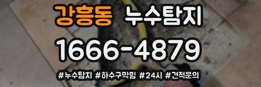 누수닥터 누수탐지