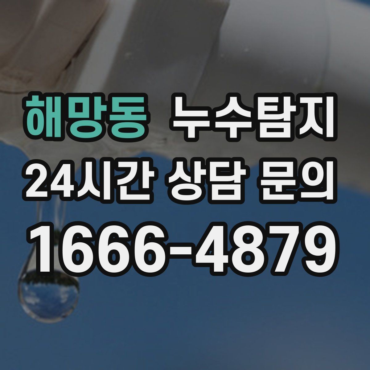 해망동 누수탐지 욕실 곰팡이 사라진 해결 과정