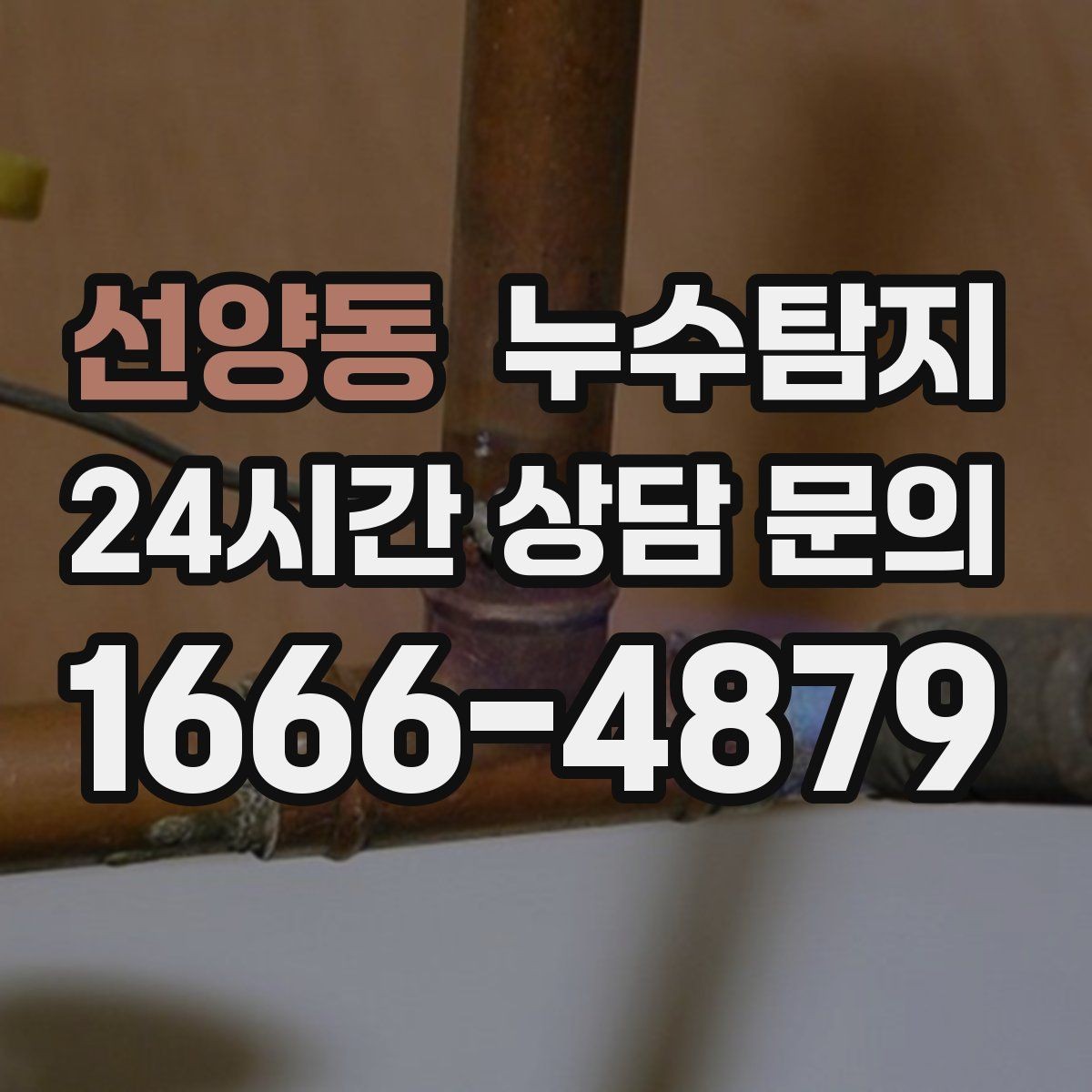 선양동 누수탐지 문제를 신속히 해결하는 방법