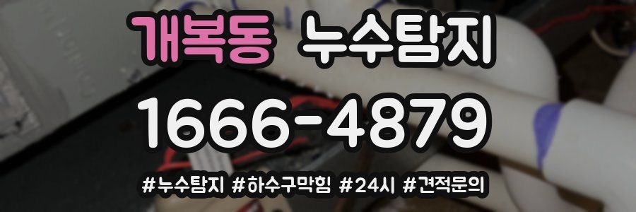 누수닥터 누수탐지