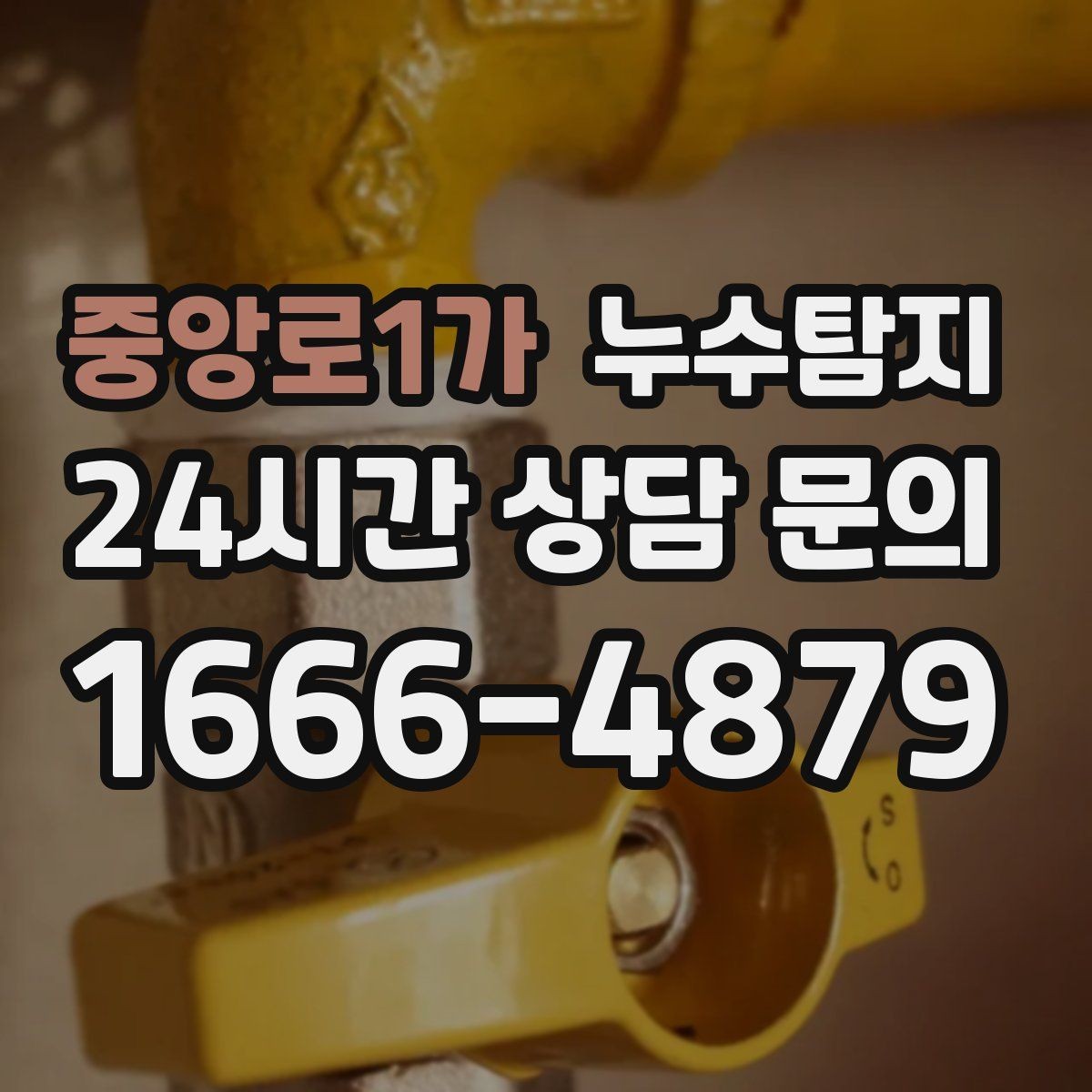 중앙로1가 누수탐지 외단열 손상 부위 점검은