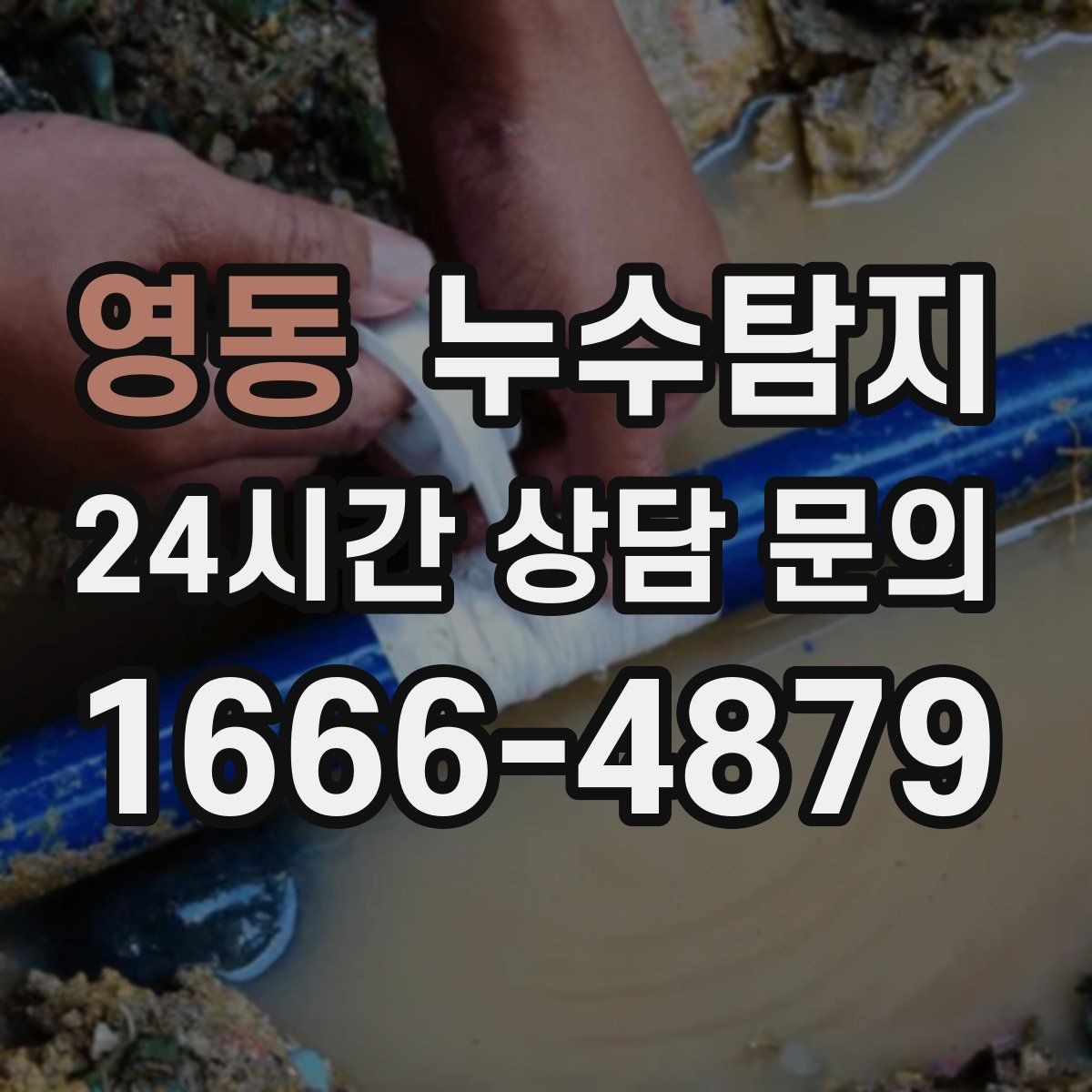 영동 누수탐지 층간 누수 분쟁 데이터 진단