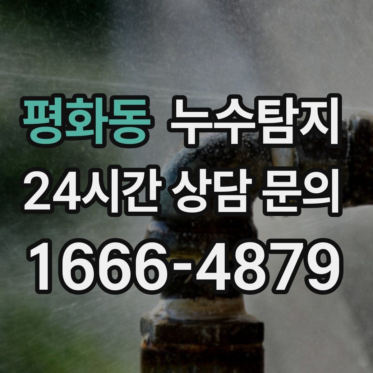 평화동 누수탐지 벽체 내부 소리로 찾은 단서