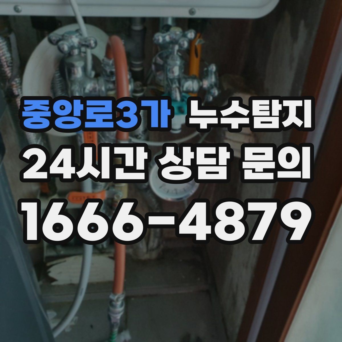 중앙로3가 누수탐지 드레스룸 곰팡이 없앤 하루