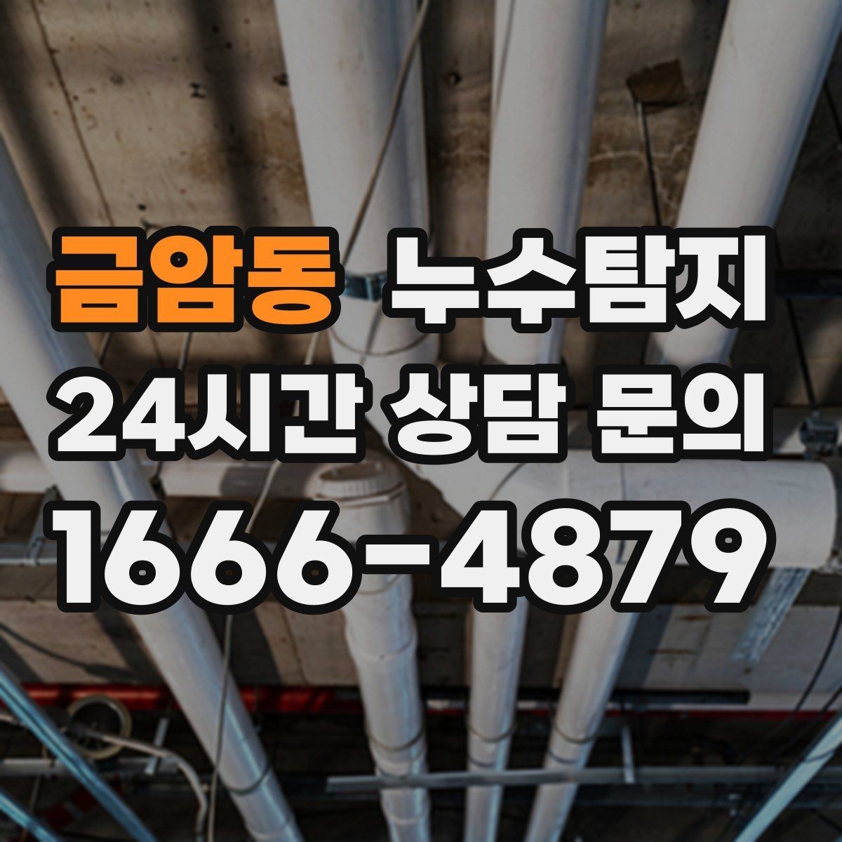 금암동 누수탐지 베란다 배수 정밀 점검